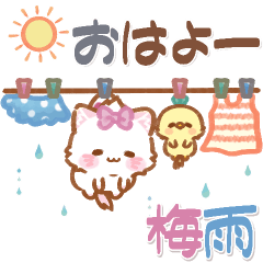 [LINEスタンプ] 子ねこモニカのかわいい梅雨日和スタンプ