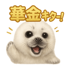 [LINEスタンプ] 週末だ！ワモンアザラシのご褒美スタンプ