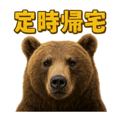 [LINEスタンプ] 週末だ！リアルなヒグマのご褒美スタンプ