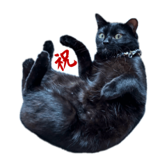 [LINEスタンプ] 黒猫のけんちゃん2
