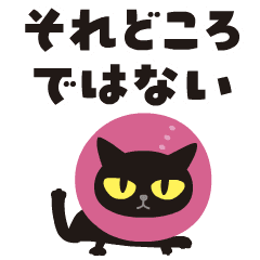 [LINEスタンプ] 動く！ぐるぐるくろねこ 12【あやふや編】