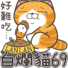 [LINEスタンプ] ランラン猫 69 (台湾版)