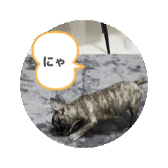 [LINEスタンプ] sia's life moving2