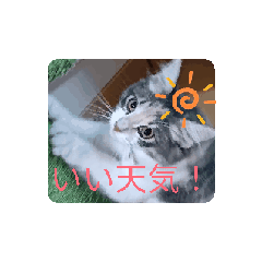 [LINEスタンプ] あすねこの動くスタンプ2