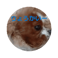 [LINEスタンプ] 動く面白犬のスタンプ