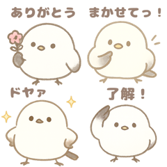 [LINEスタンプ] もちもち！ことり便〜シマエナガ〜