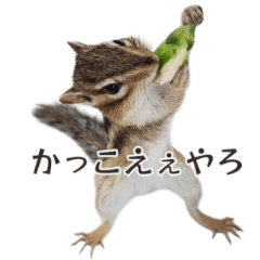 [LINEスタンプ] しまりすやっくん2(日常)