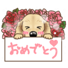 [LINEスタンプ] ダックス♡リアル風 落書き風などのmix