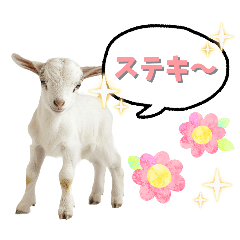 [LINEスタンプ] ヤギさんでごあいさつ♪