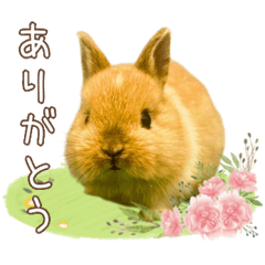 [LINEスタンプ] タイニーなプリンちゃん1