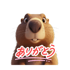 [LINEスタンプ] 【日常会話マーモット②】