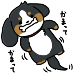 [LINEスタンプ] かまちょスタンプ(バーニー)