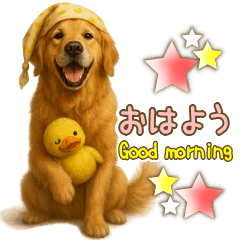 [LINEスタンプ] ゴールデンレトリバー大切な人へのスタンプ