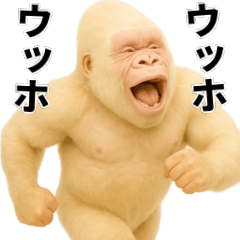 [LINEスタンプ] エッホエッホ BIGな白ゴリラ 伝えなきゃ