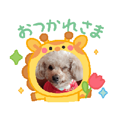 [LINEスタンプ] 動く❤クレオ君とマリーちゃん