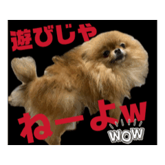[LINEスタンプ] ポメ山家②