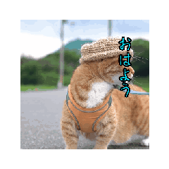 [LINEスタンプ] 動く銀太
