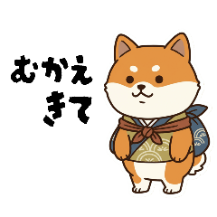 [LINEスタンプ] 柴犬コーギーちゃん 家族で使えるスタンプ