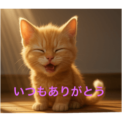 [LINEスタンプ] 子茶トラ可愛すぎの画像（メイン）