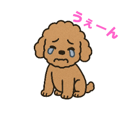 [LINEスタンプ] トイプードル ドッグ イヌ スタンプ