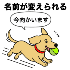 [LINEスタンプ] 名前入りダックス：スムースイエロー