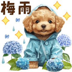 [LINEスタンプ] トイプードルの梅雨のキモチ