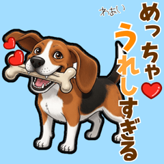 [LINEスタンプ] 毎日使える♪ビーグルの気持ち伝える