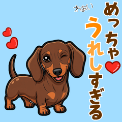 [LINEスタンプ] 毎日使える♪ダックスの気持ちメッセージ