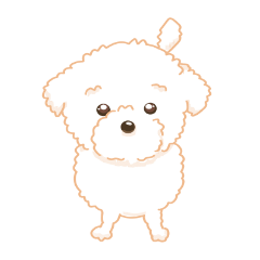 [LINEスタンプ] タフィ・ザ・チワプー1（白い犬の日常）