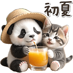 [LINEスタンプ] 初夏♡かわいいパンダとネコ
