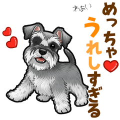 [LINEスタンプ] ミニチュアシュナウザーの気持ち伝える日常