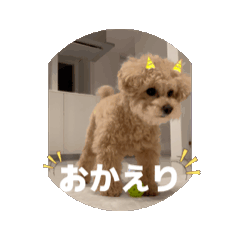 [LINEスタンプ] 可愛いオイラ(ᐡ ˙ᵜ˙ ᐡ)