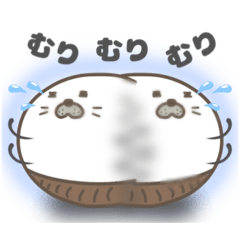 [LINEスタンプ] 腹巻きアザラシ君 001 （あざらし）黒改
