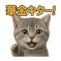 [LINEスタンプ] 週末だ！マンチカンのご褒美スタンプ