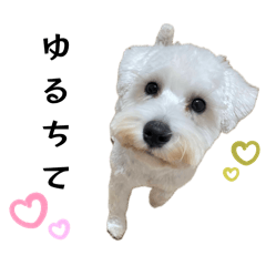 [LINEスタンプ] クゥウル3