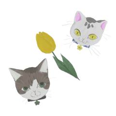 [LINEスタンプ] ラー油スタンプ -そのさん-
