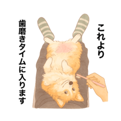 [LINEスタンプ] コーギーまいまい その9
