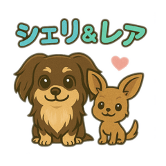 [LINEスタンプ] しぇーーーりれあ