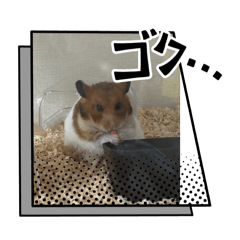 [LINEスタンプ] みーぴーぼたん