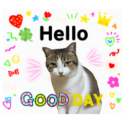 [LINEスタンプ] ウチの猫、空のスタンプです♪