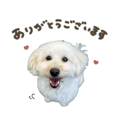 [LINEスタンプ] スフレちゃん♡ねねちゃんスタンダード