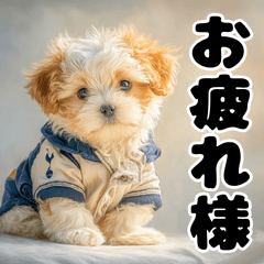 [LINEスタンプ] 子犬衣装スタンプ