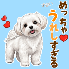 [LINEスタンプ] 気持ち伝わる♡マルチーズの毎日スタンプ