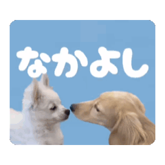 [LINEスタンプ] パピーさん達