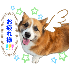 [LINEスタンプ] ぷー助のニコニコ日和