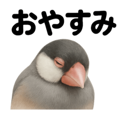 [LINEスタンプ] 癒し系文鳥の眠いラインスタンプ