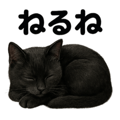 [LINEスタンプ] 癒し系黒猫の眠いラインスタンプ