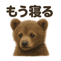 [LINEスタンプ] 癒し系赤ちゃんヒグマの眠いラインスタンプ