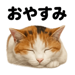 [LINEスタンプ] 癒し系三毛猫の眠いラインスタンプ