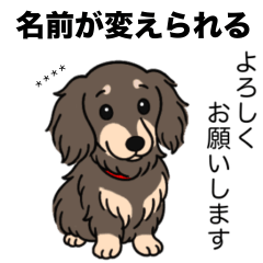 [LINEスタンプ] 名前入りダックス：ロングチョコクリーム